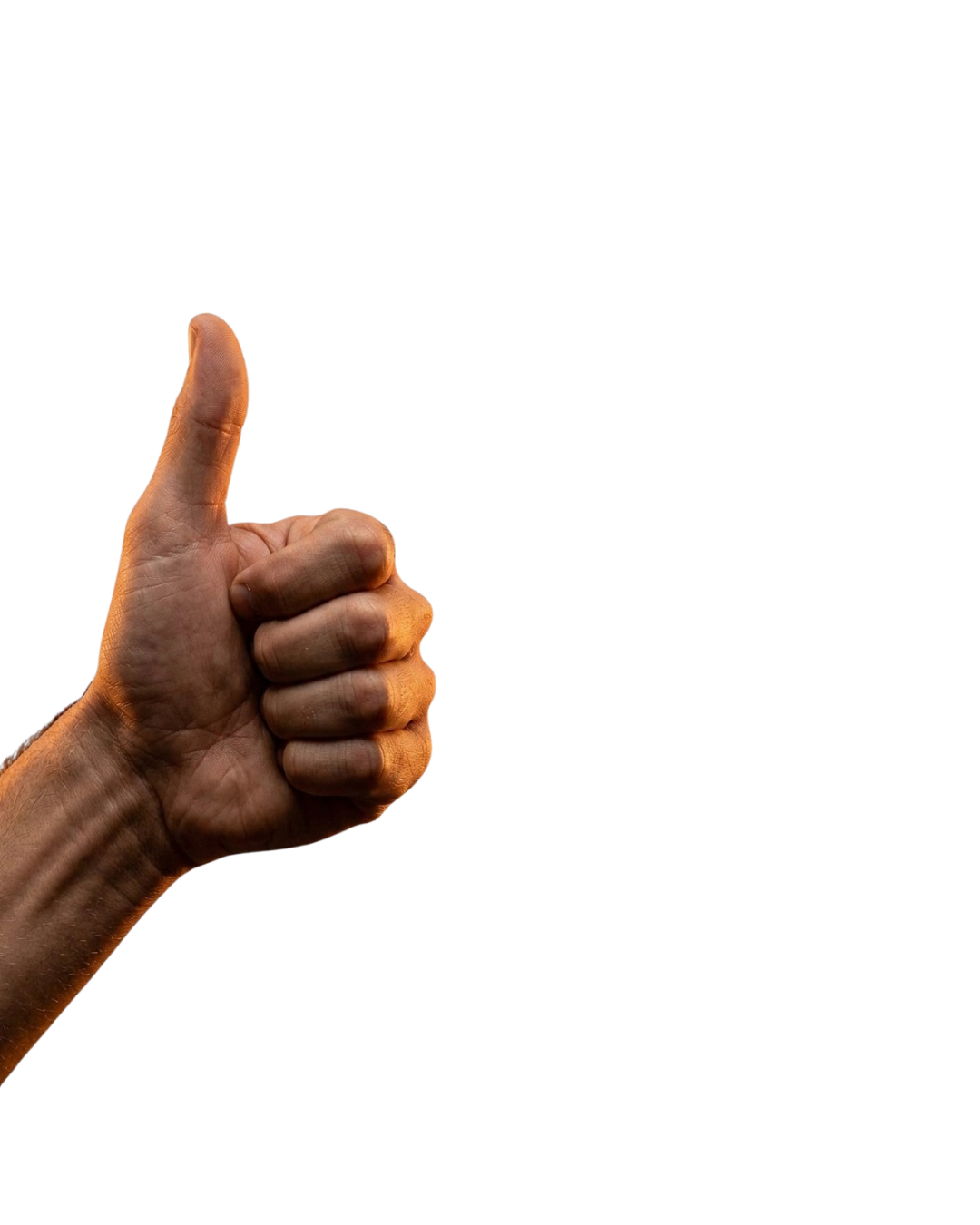 Pouce levé : projet d'automatisation validé par Veozy